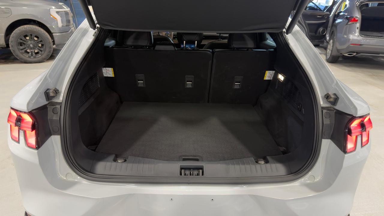 2021 Ford Mustang Mach-E Premium Photo