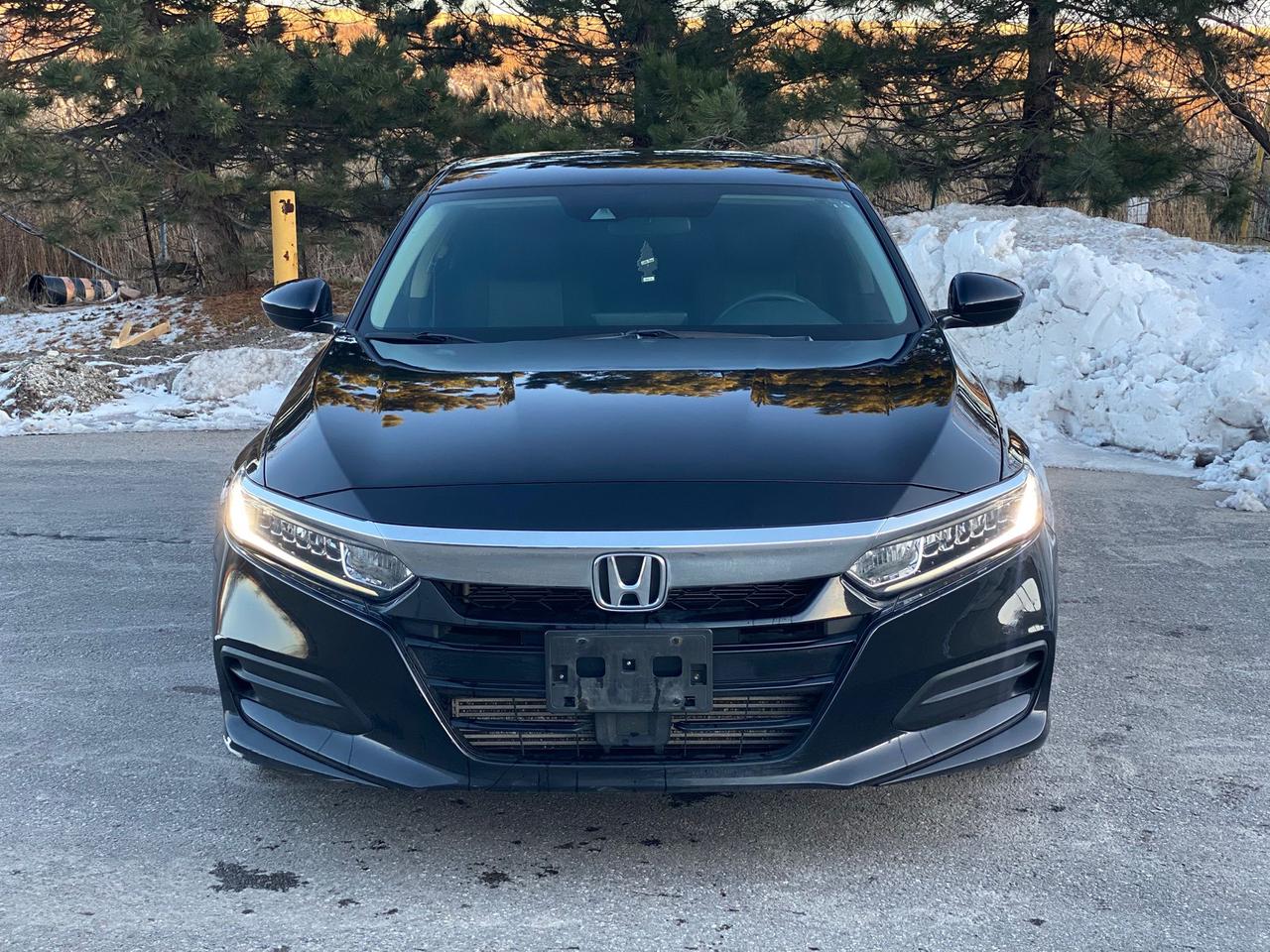 2019 Honda Accord LX Photo
