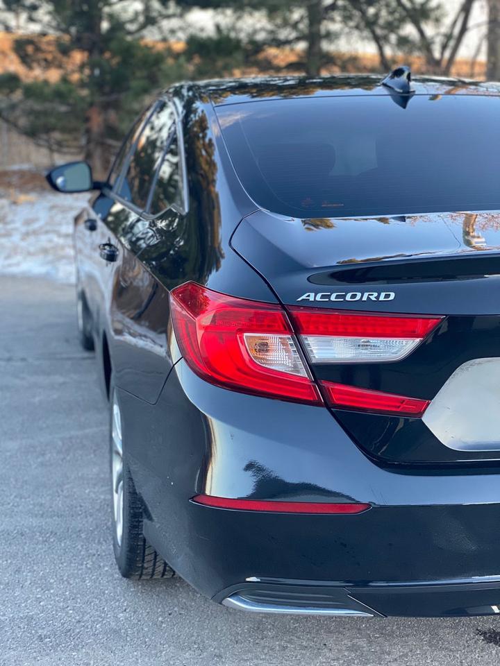 2019 Honda Accord LX Photo