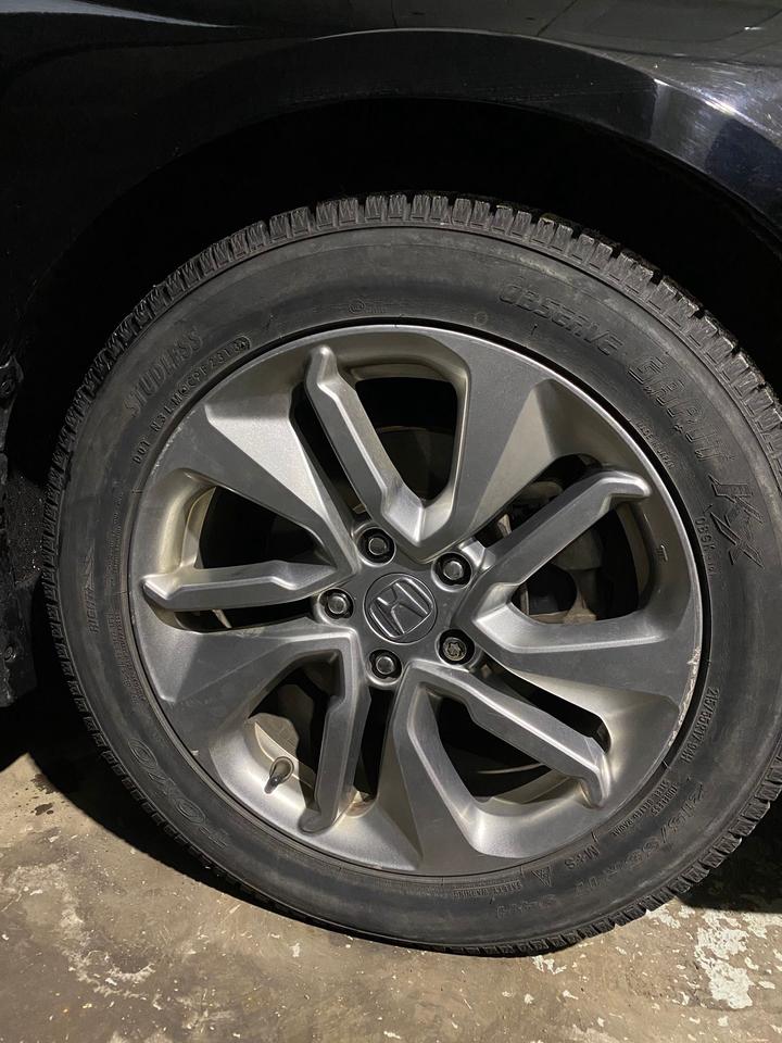 2019 Honda Accord LX Photo