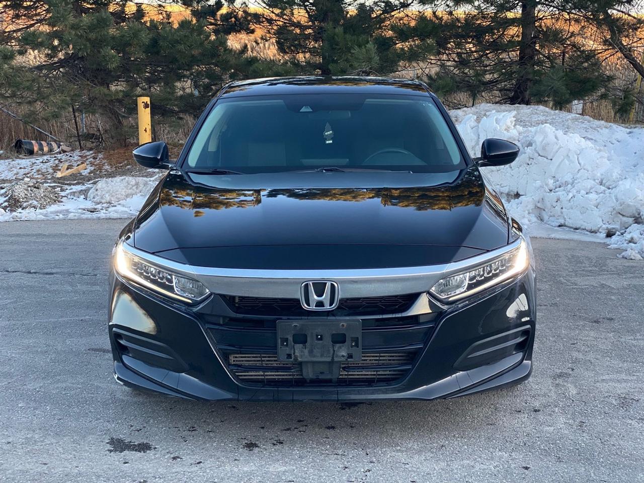 2019 Honda Accord LX Photo