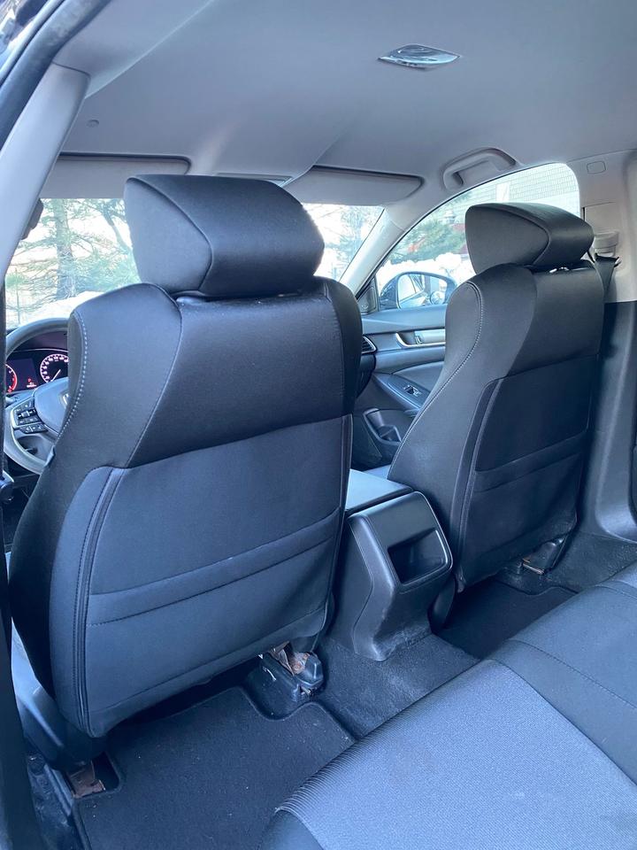 2019 Honda Accord LX Photo
