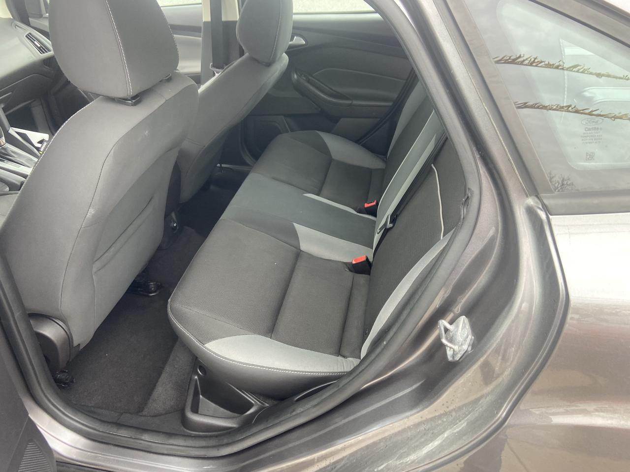 2014 Ford Focus SE Photo