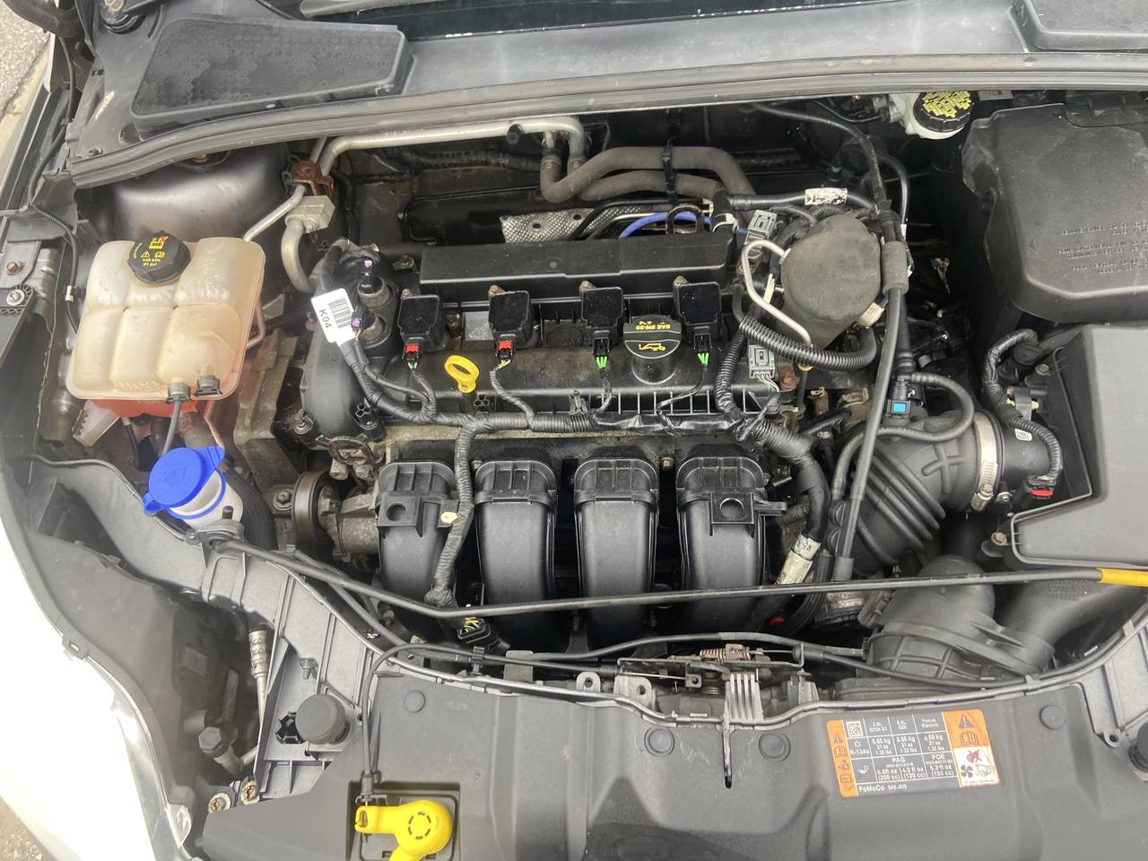 2014 Ford Focus SE Photo