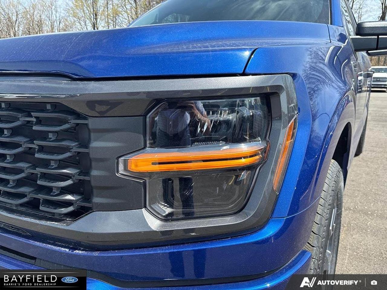 2026 Ford F-150 STX Photo