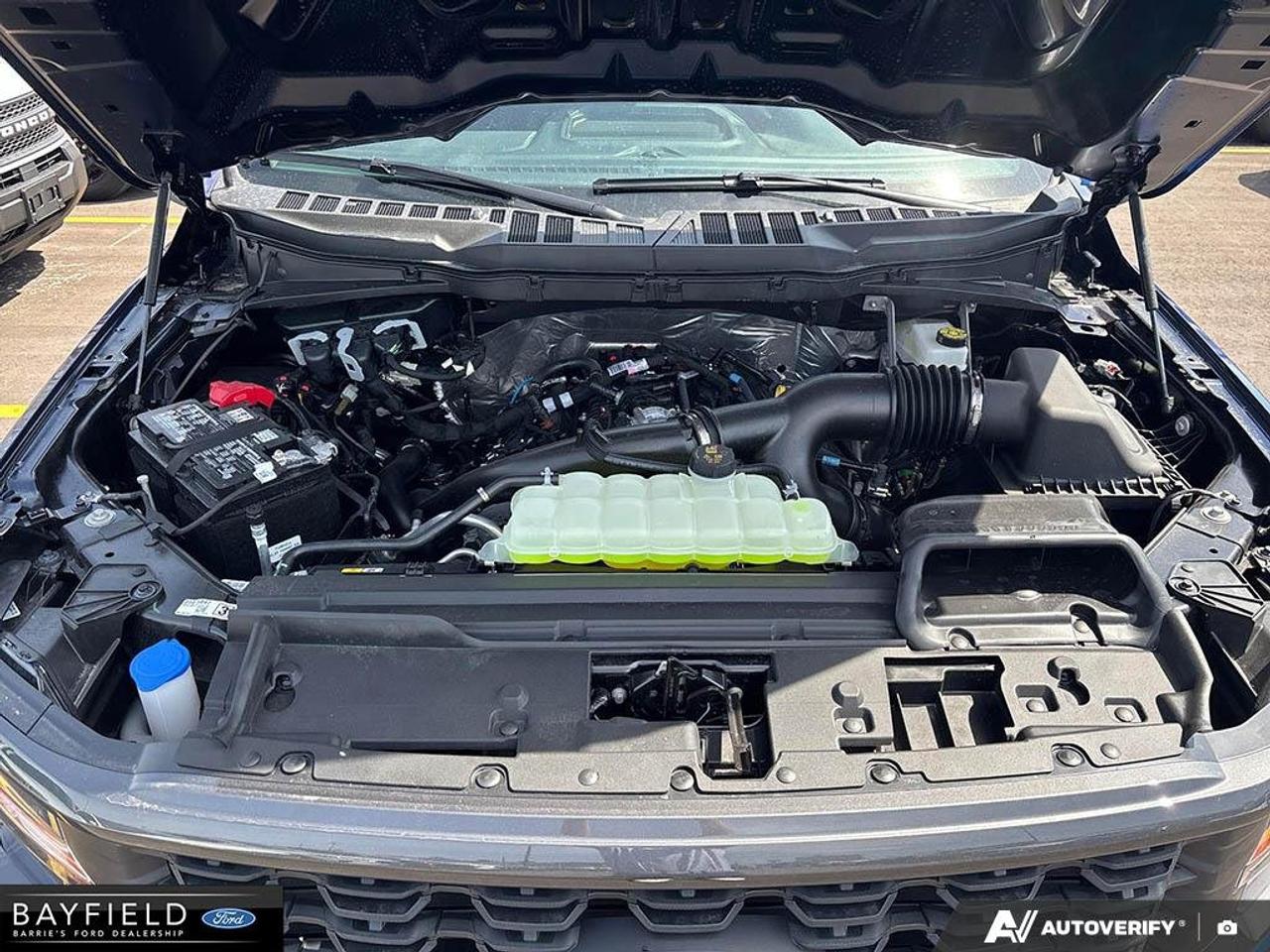 2026 Ford F-150 STX Photo