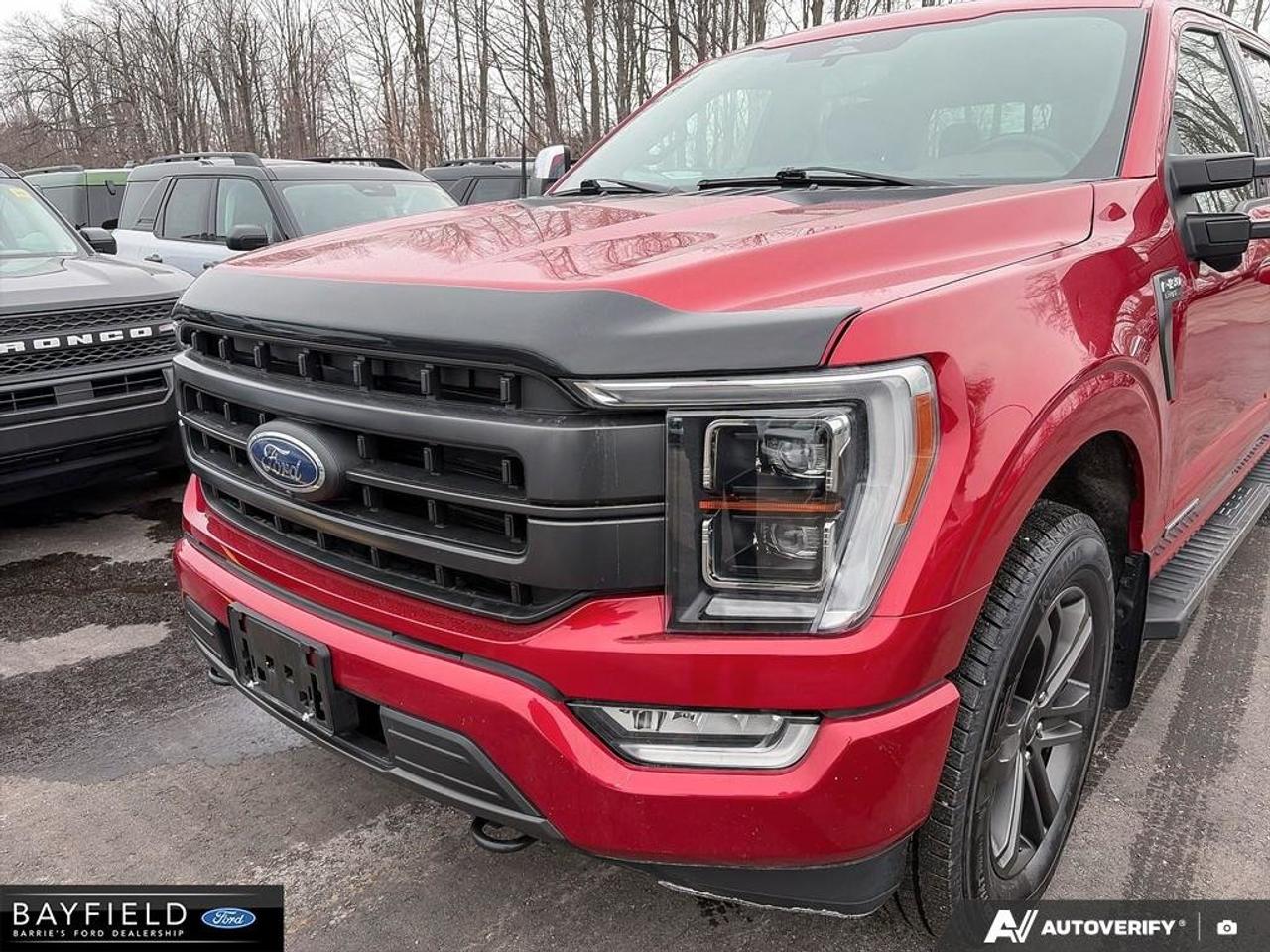 2021 Ford F-150  Photo