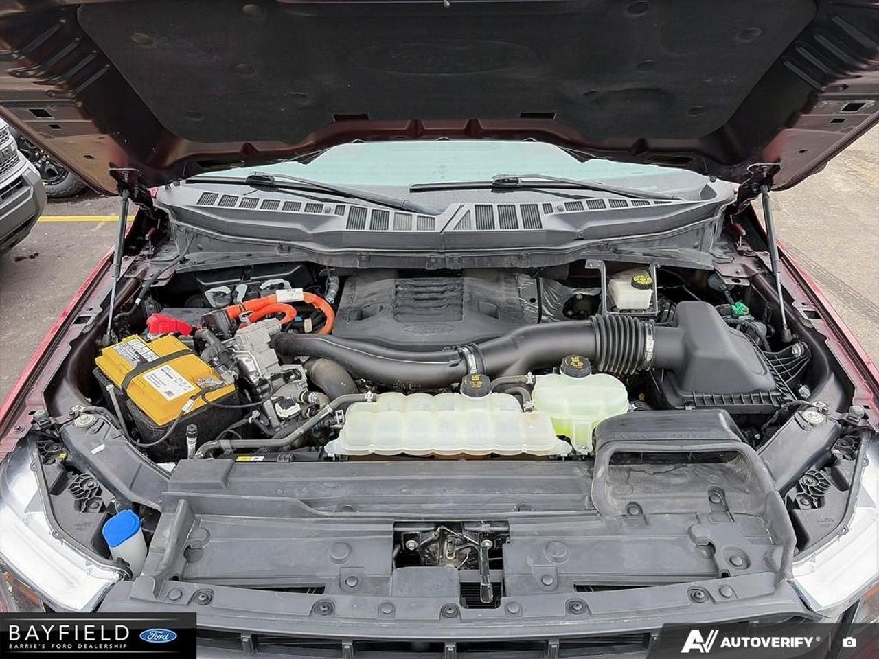 2021 Ford F-150  Photo