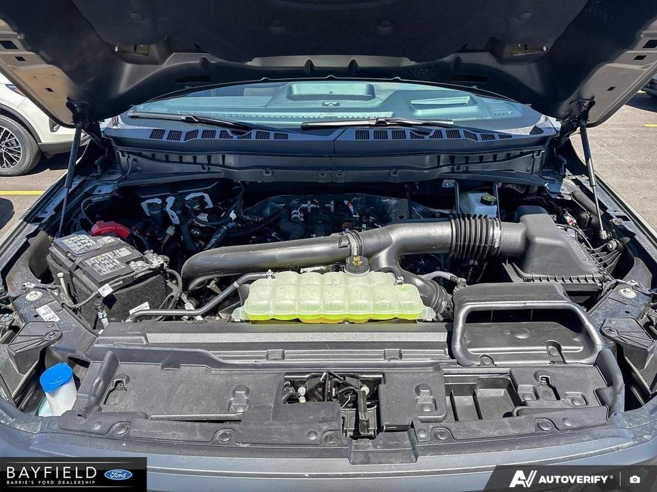 2026 Ford F-150 Tremor Photo