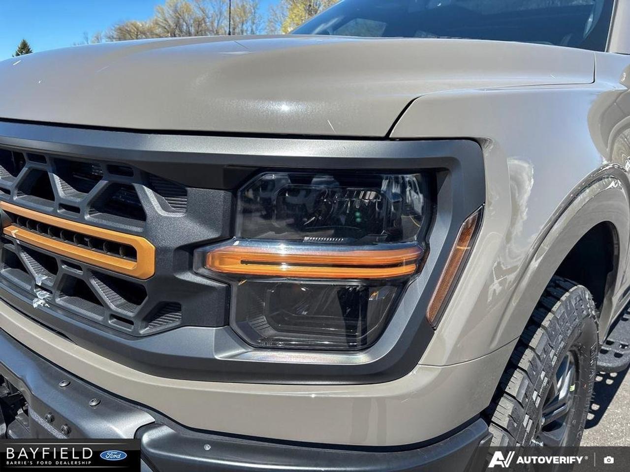 2026 Ford F-150 Tremor Photo