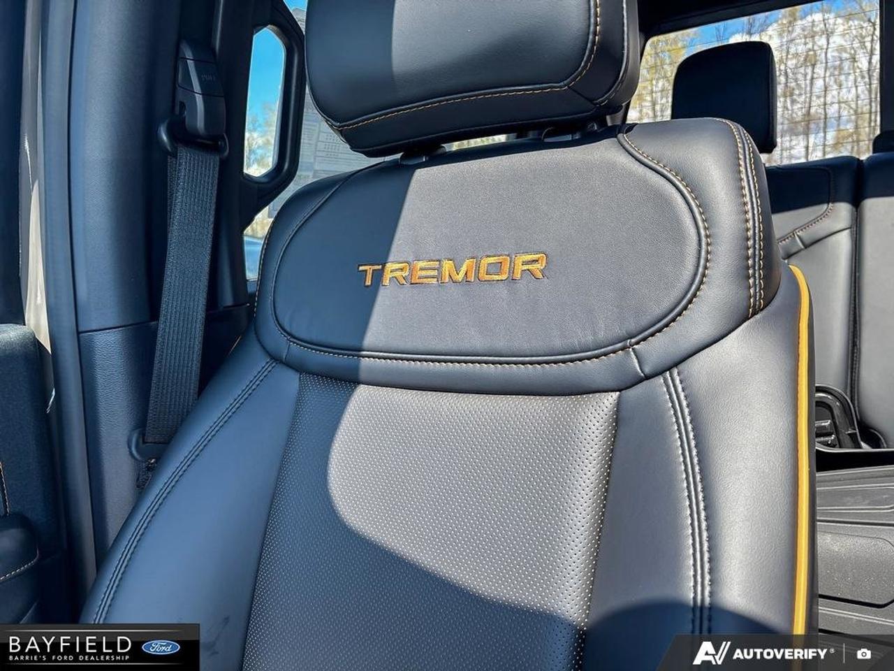 2026 Ford F-150 Tremor Photo