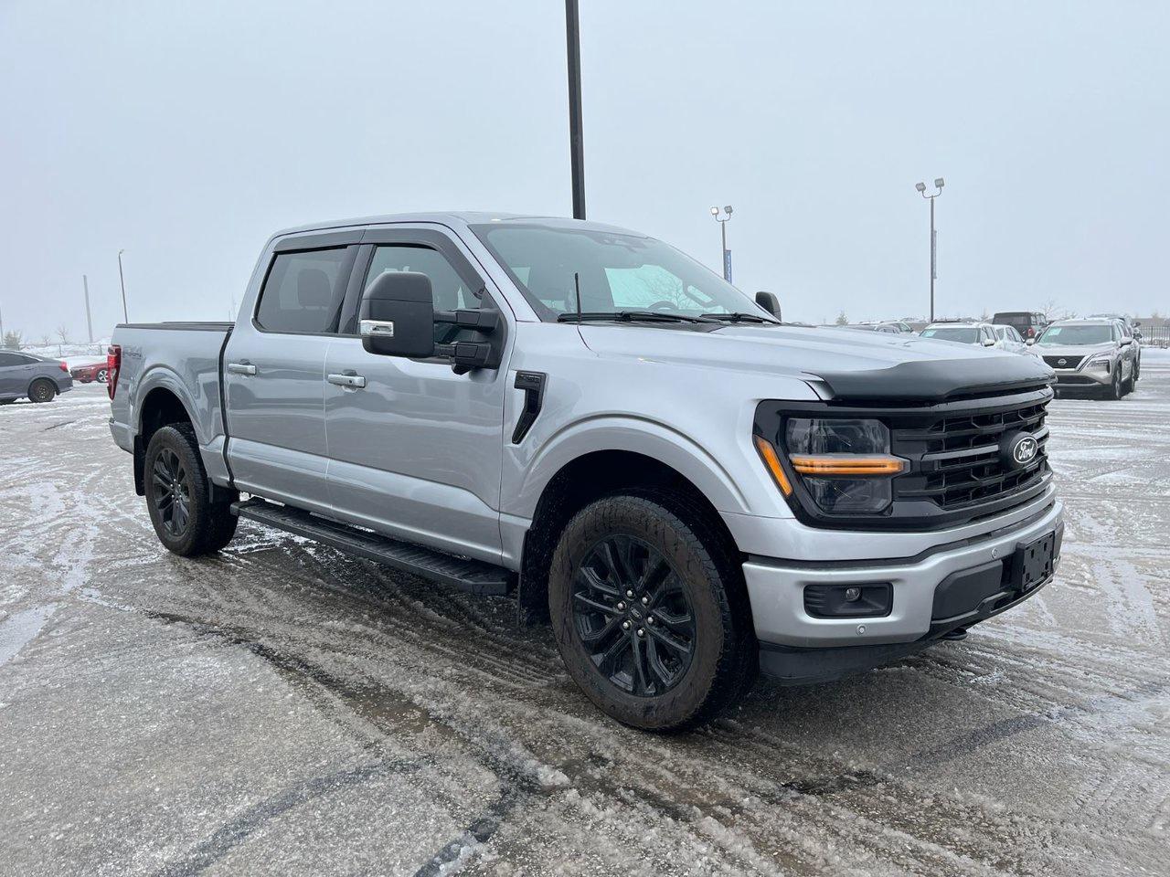 2024 Ford F-150 XLT 4WD SuperCrew 5.5' Box Photo3