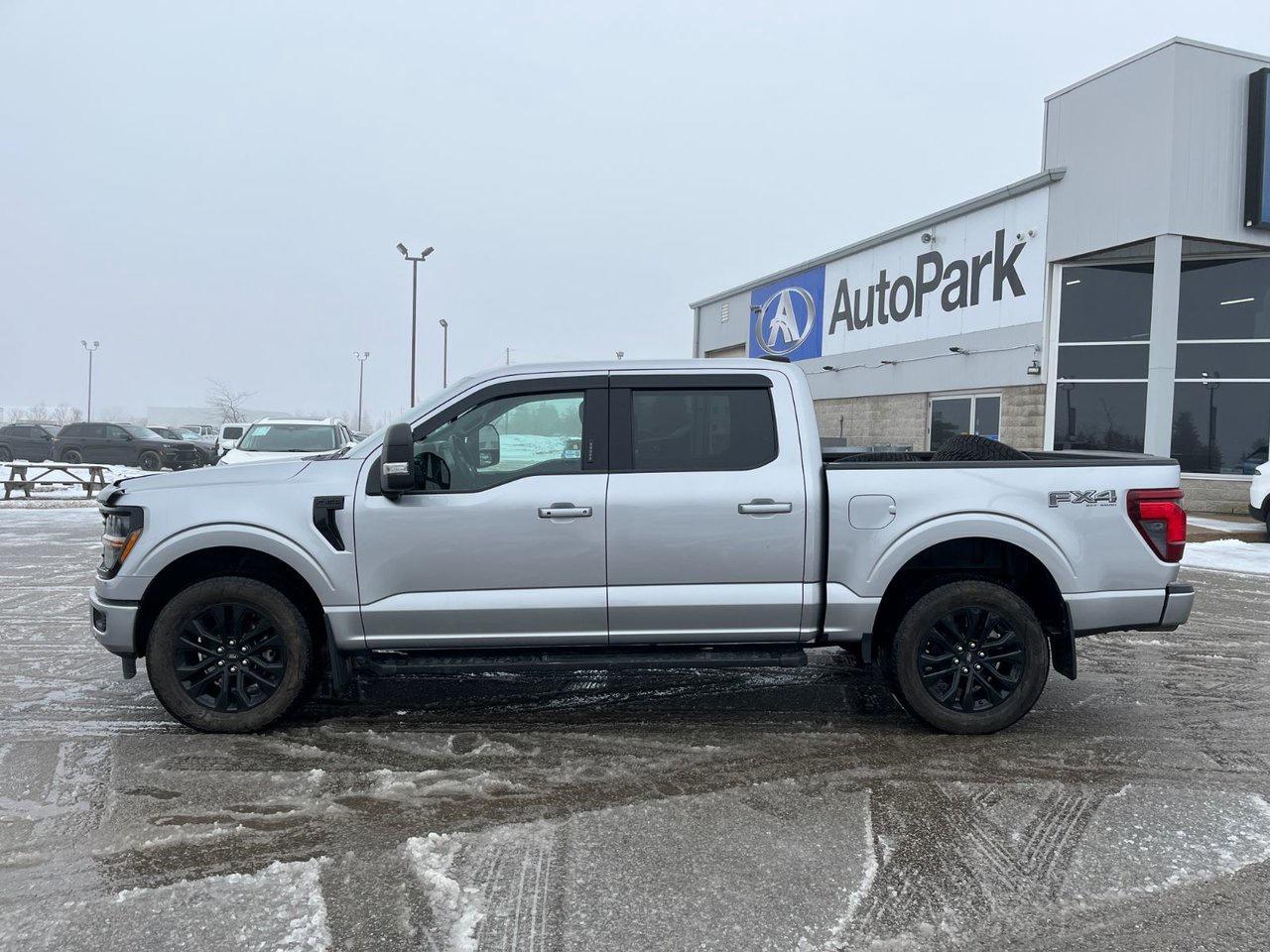 2024 Ford F-150 XLT 4WD SuperCrew 5.5' Box Photo