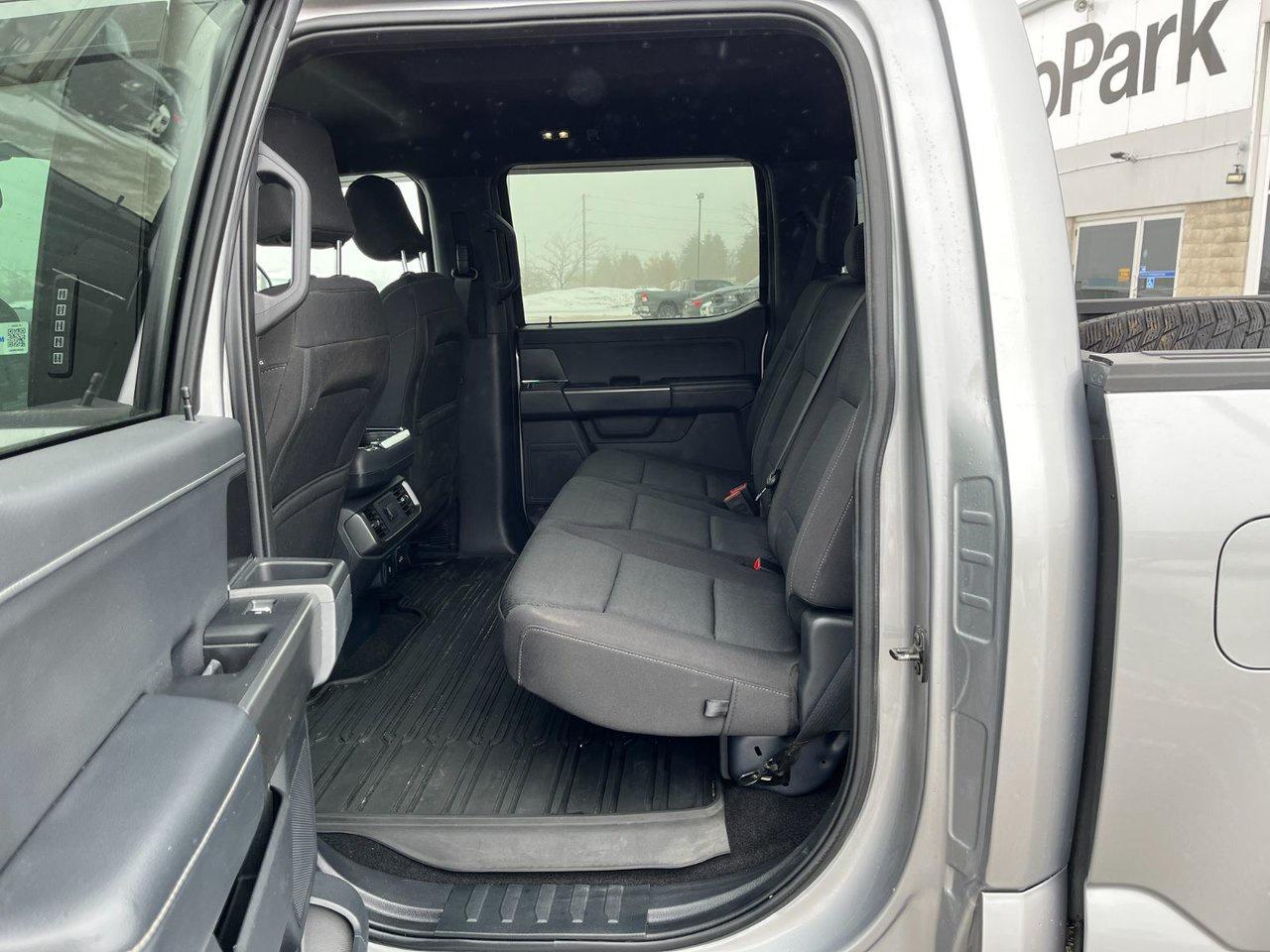 2024 Ford F-150 XLT 4WD SuperCrew 5.5' Box Photo