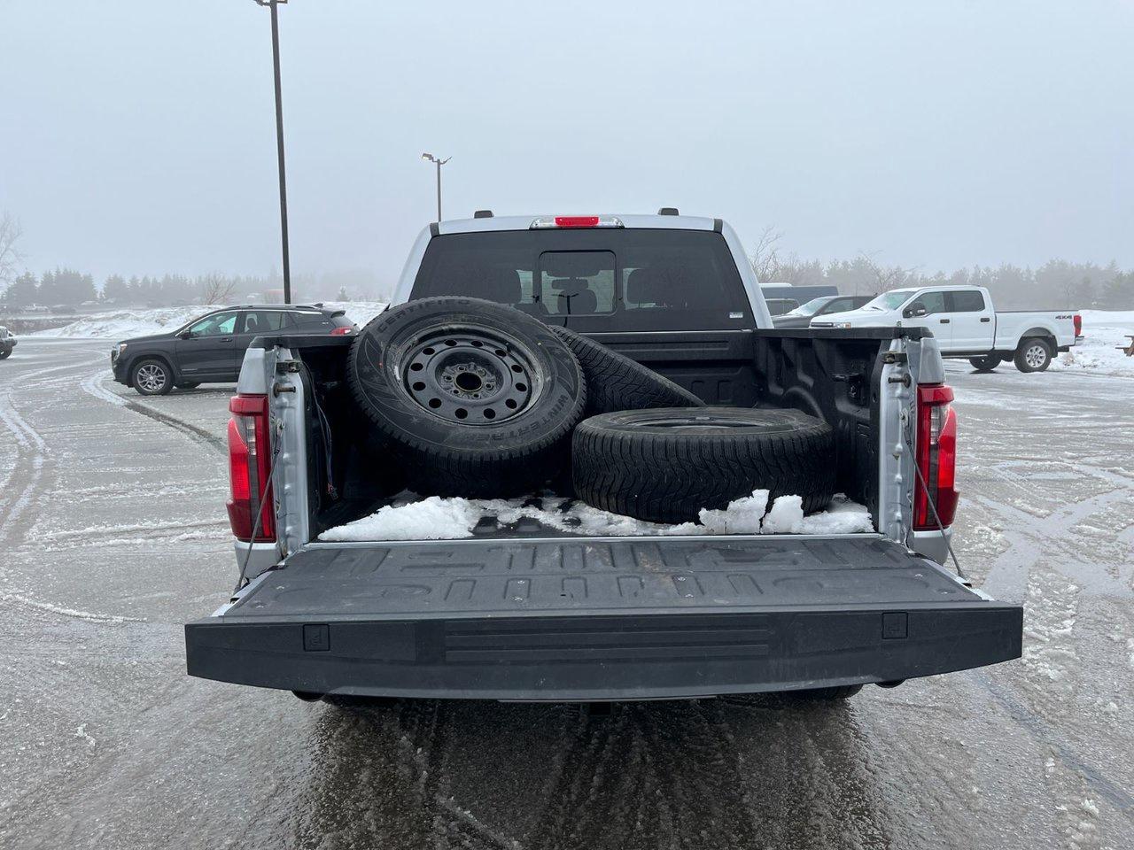 2024 Ford F-150 XLT 4WD SuperCrew 5.5' Box Photo