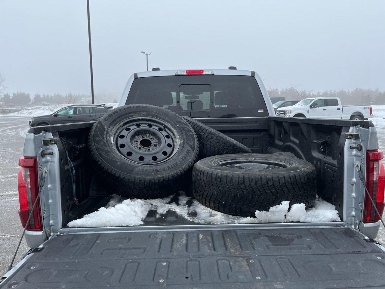 2024 Ford F-150 XLT 4WD SuperCrew 5.5' Box Photo