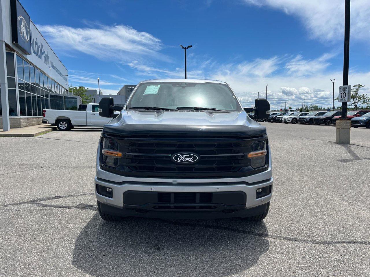 2024 Ford F-150 XLT 4WD SuperCrew 5.5' Box Photo