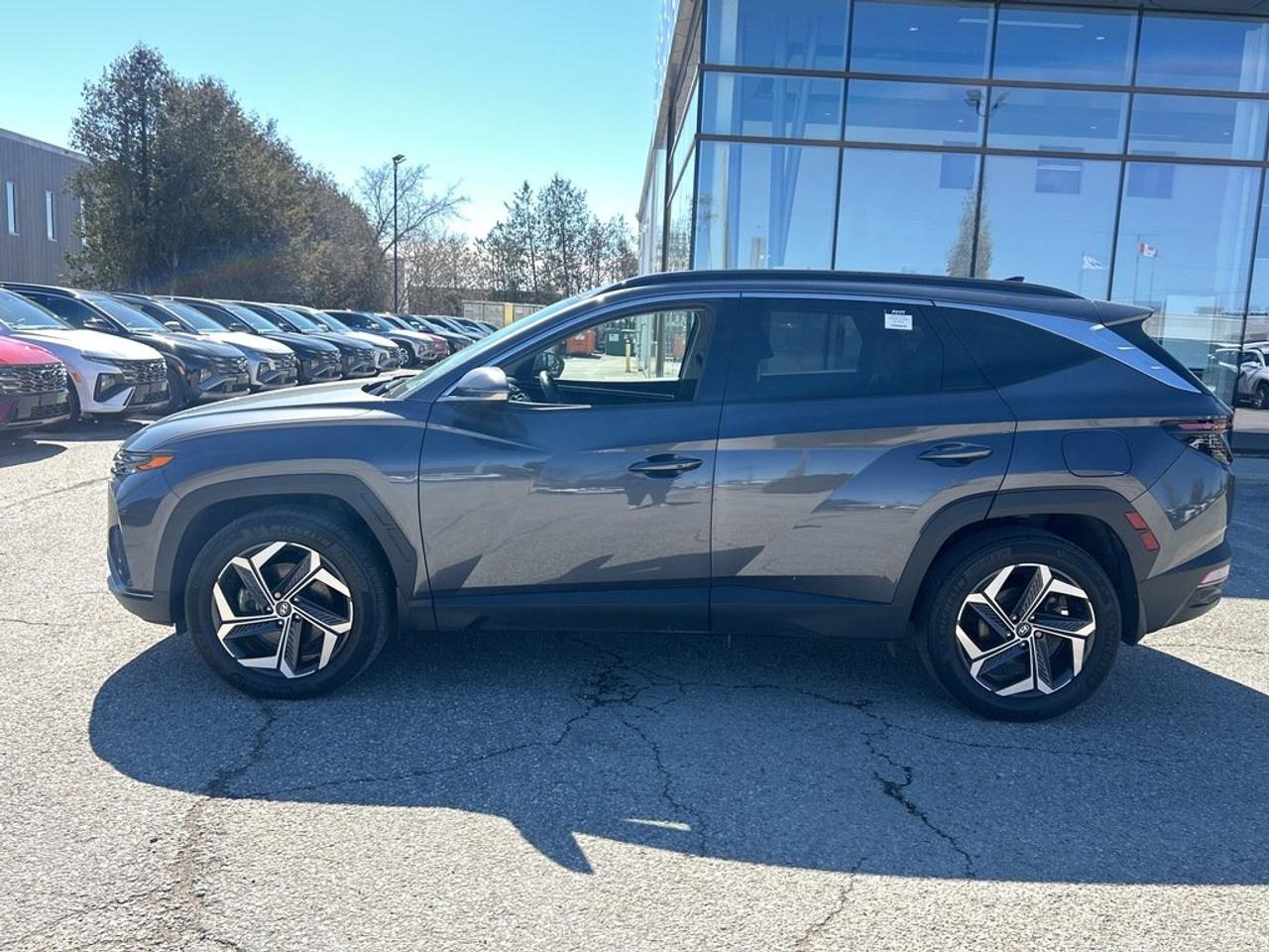 2023 Hyundai Tucson Plug-In Hybrid Luxury Photo