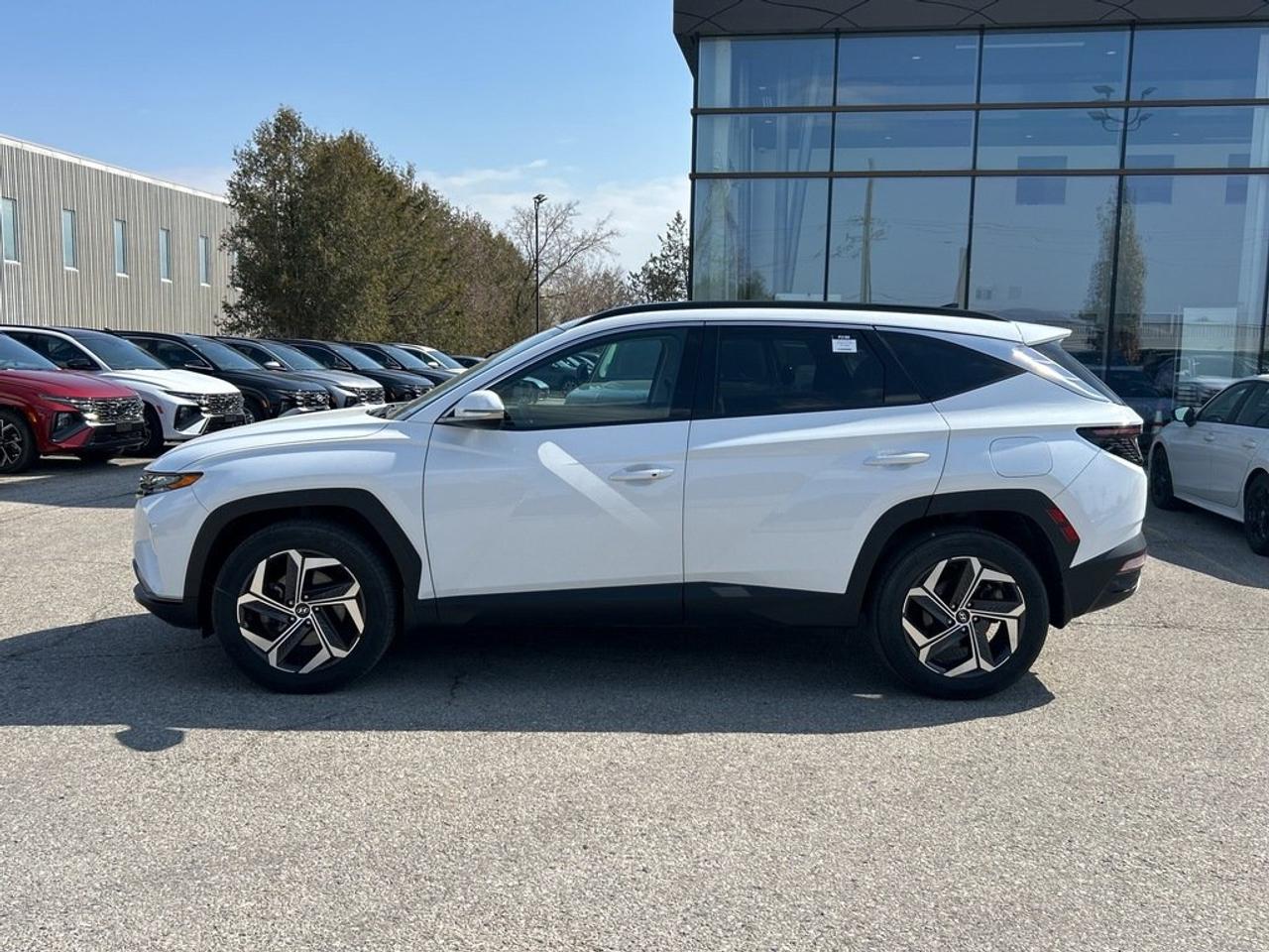 2023 Hyundai Tucson AWD 1.6T Luxury Hybrid Photo