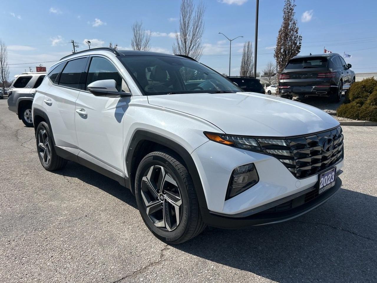 2023 Hyundai Tucson AWD 1.6T Luxury Hybrid Photo