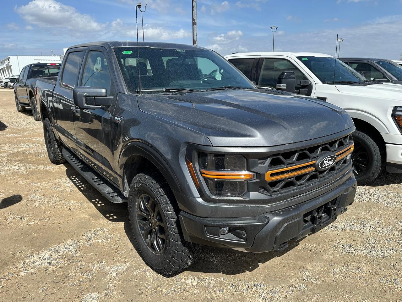 2026 Ford F-150 TREMOR 4WD SuperCrew 5.5' Box 402A Photo