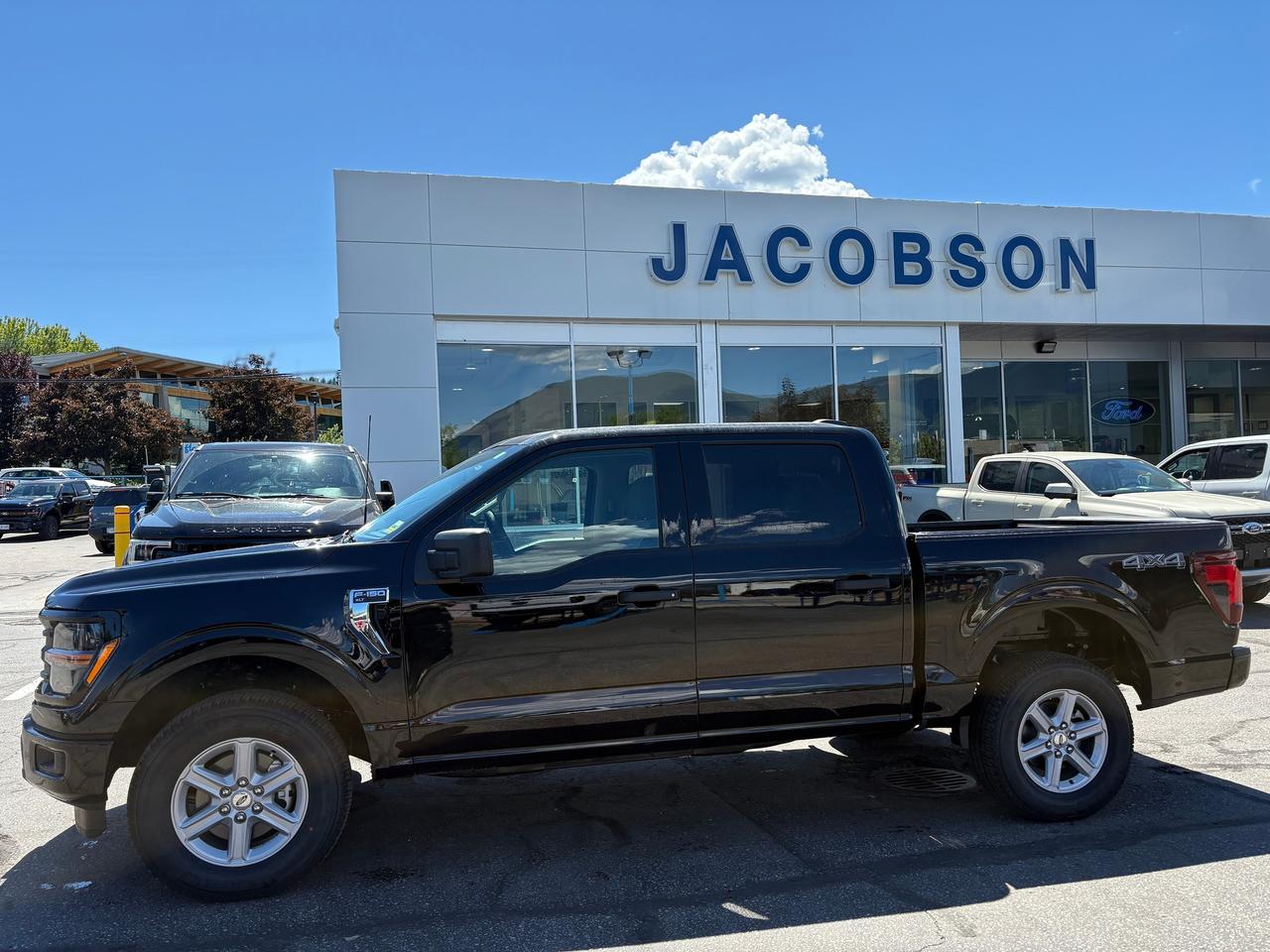 2026 Ford F-150 XLT Photo1