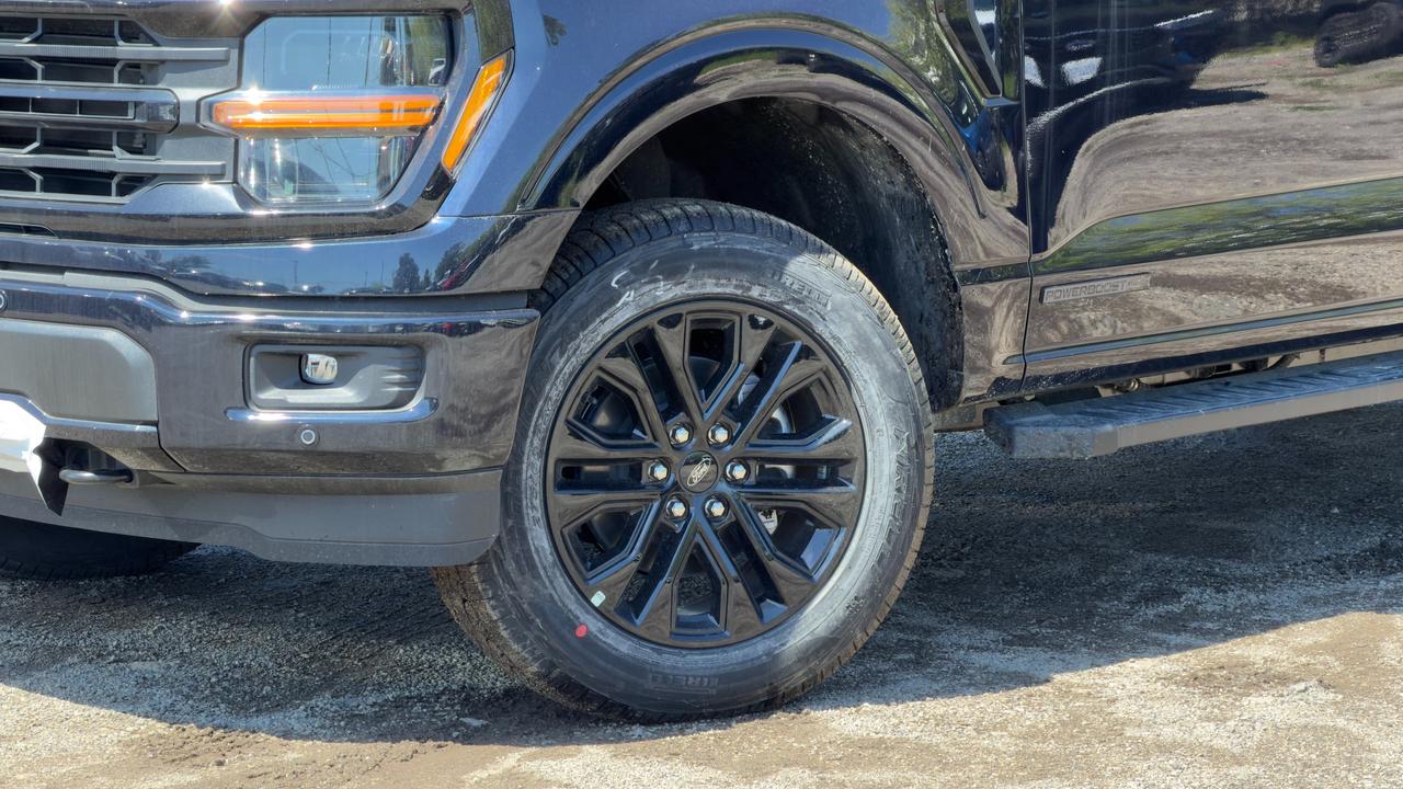 2026 Ford F-150 XLT Photo