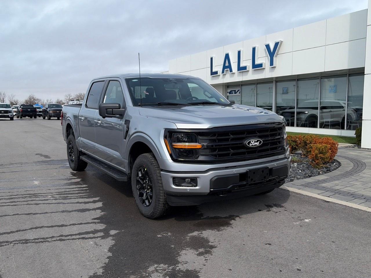 2026 Ford F-150 XLT 4WD SuperCrew 5.5' Box Photo0