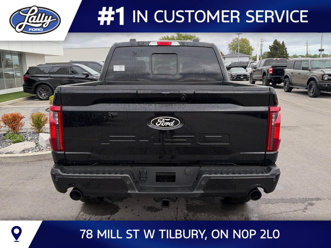 2026 Ford F-150 XLT 4WD SuperCrew 5.5' Box Photo3