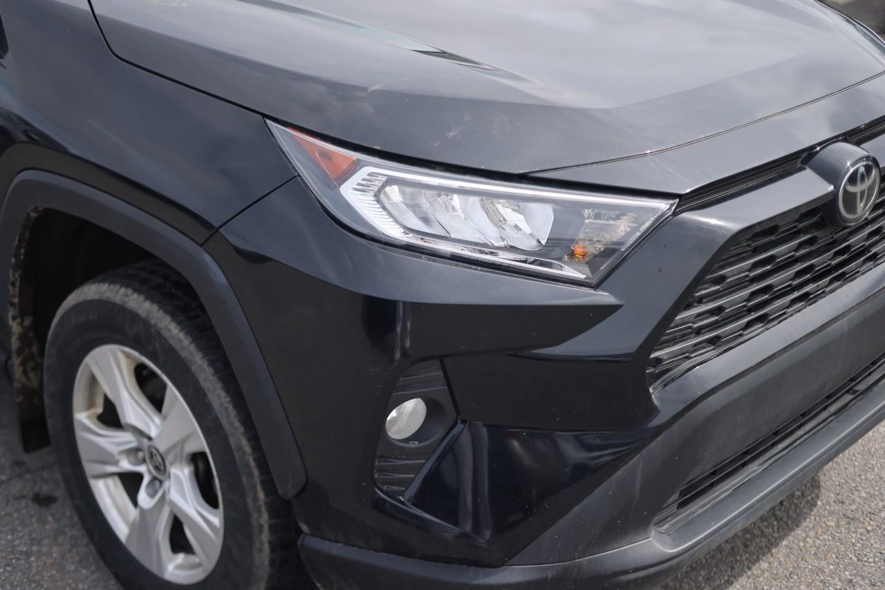 2021 Toyota RAV4 XLE AWD Photo