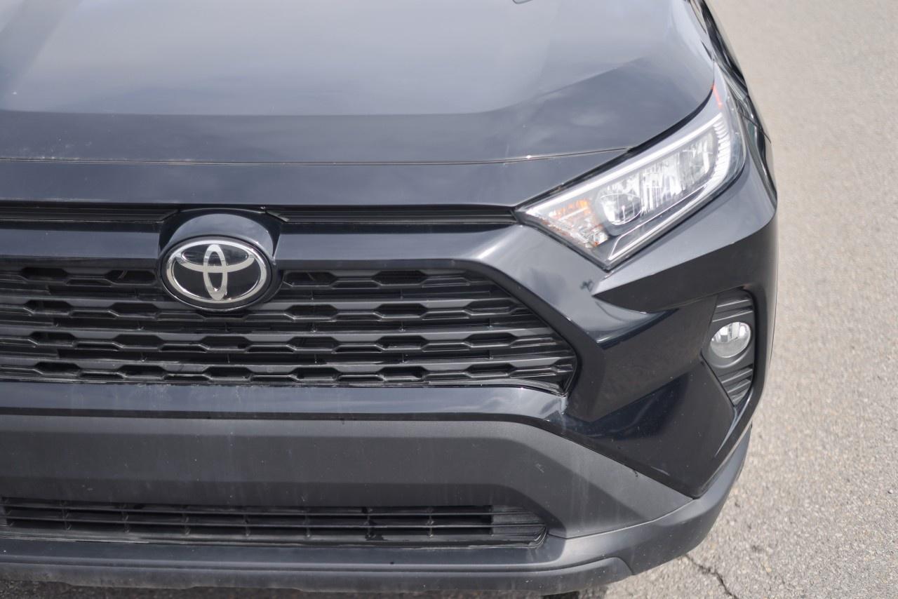 2021 Toyota RAV4 XLE AWD Photo