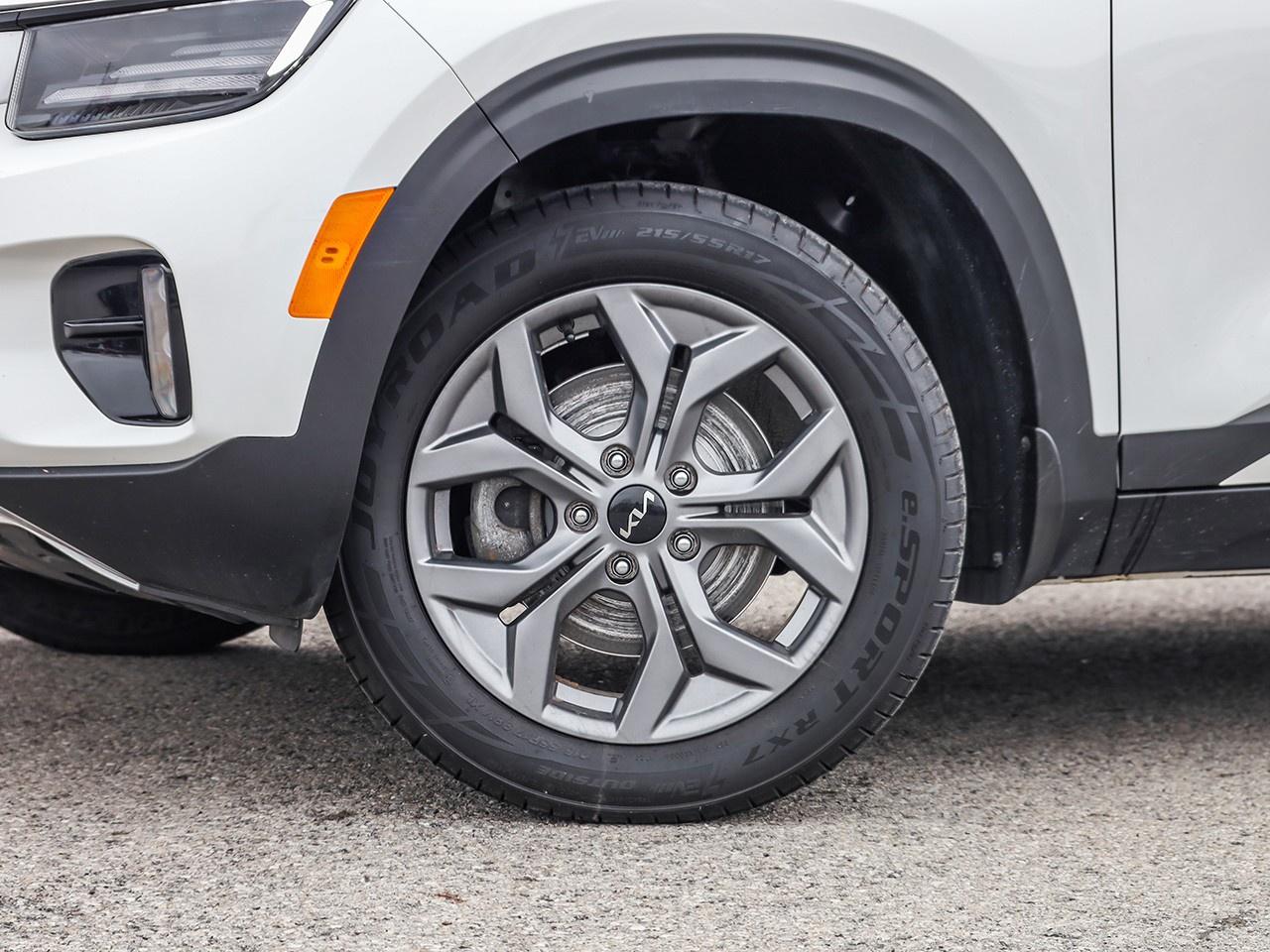 2025 Kia Seltos EX Photo