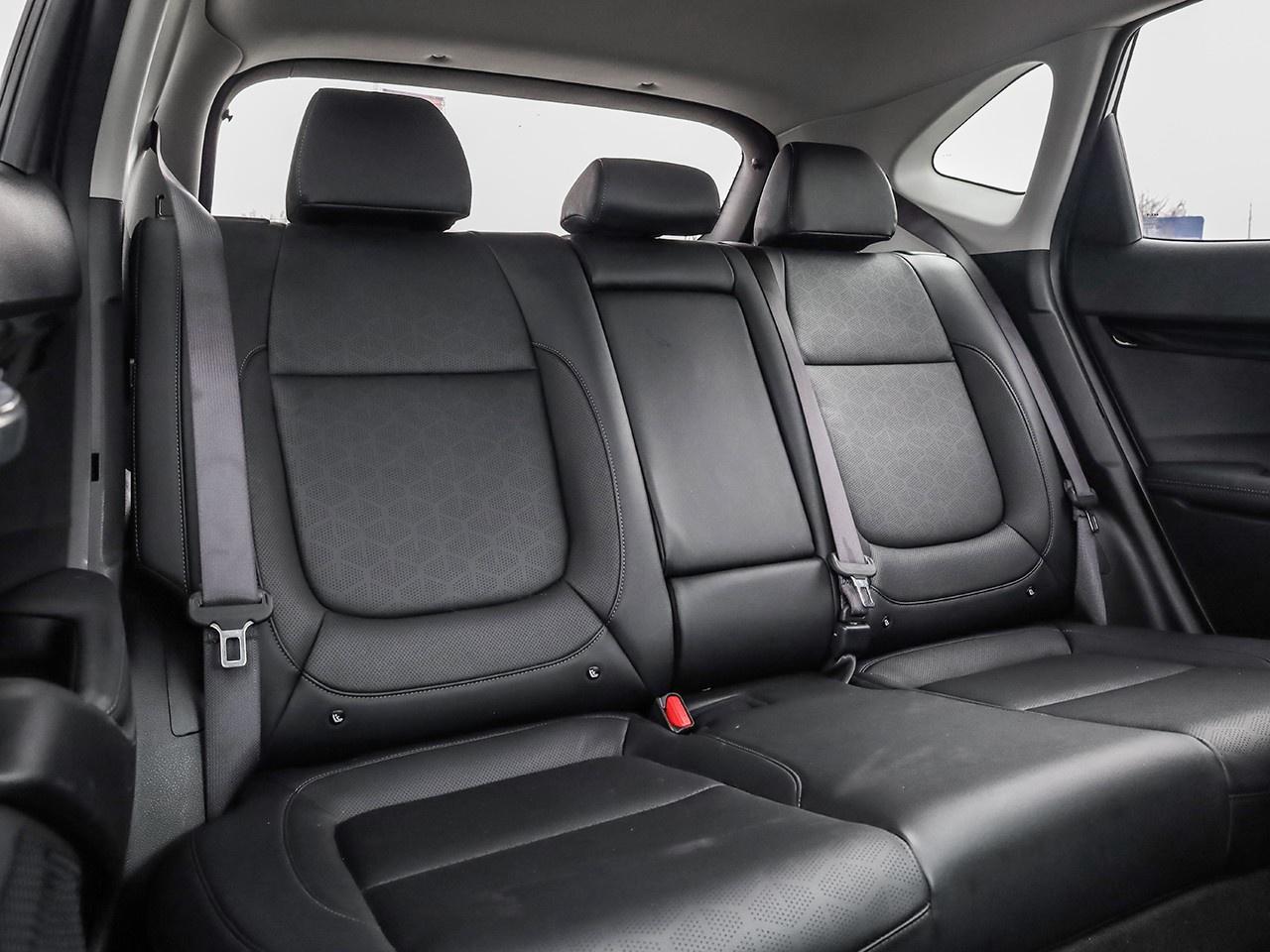 2025 Kia Seltos EX Photo