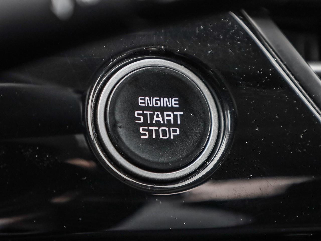 2025 Kia Seltos EX Photo