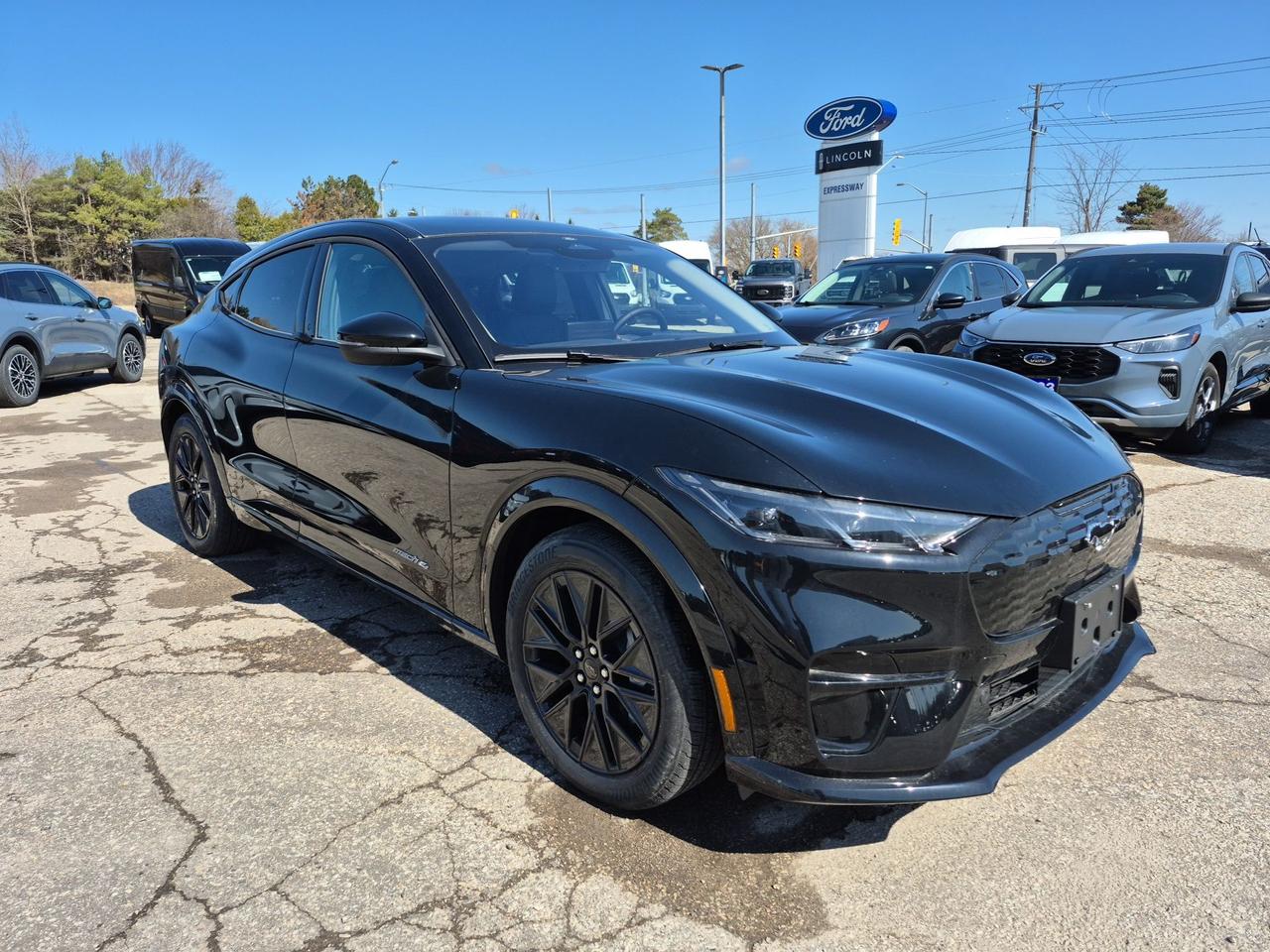 2026 Ford Mustang Mach-E PREMIUM, PANO ROOF, SPORT APPEARANCE PKG Photo2
