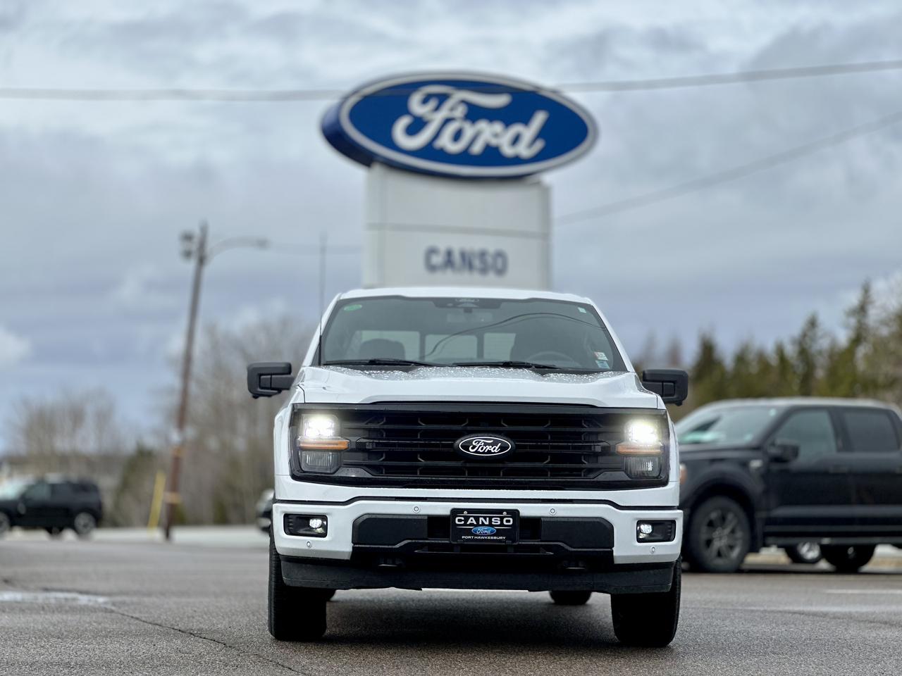 2026 Ford F-150 XLT 4WD SuperCrew 5.5' Box Photo1