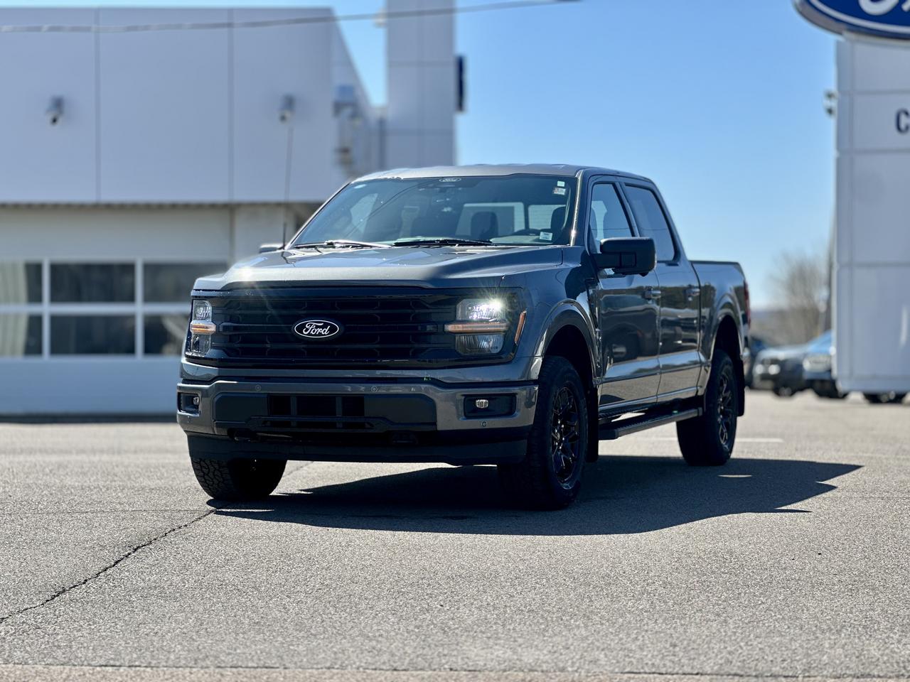 2026 Ford F-150 XLT 4WD SuperCrew 5.5' Box Photo2