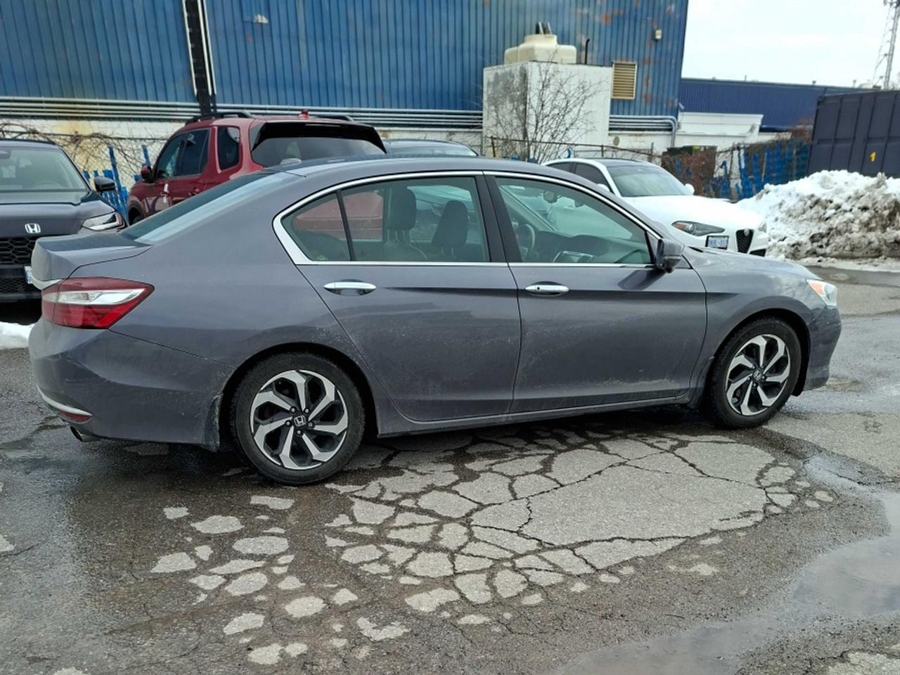 2016 Honda Accord * ONE OWNER * NO ACCIDENTS EX-L Photo