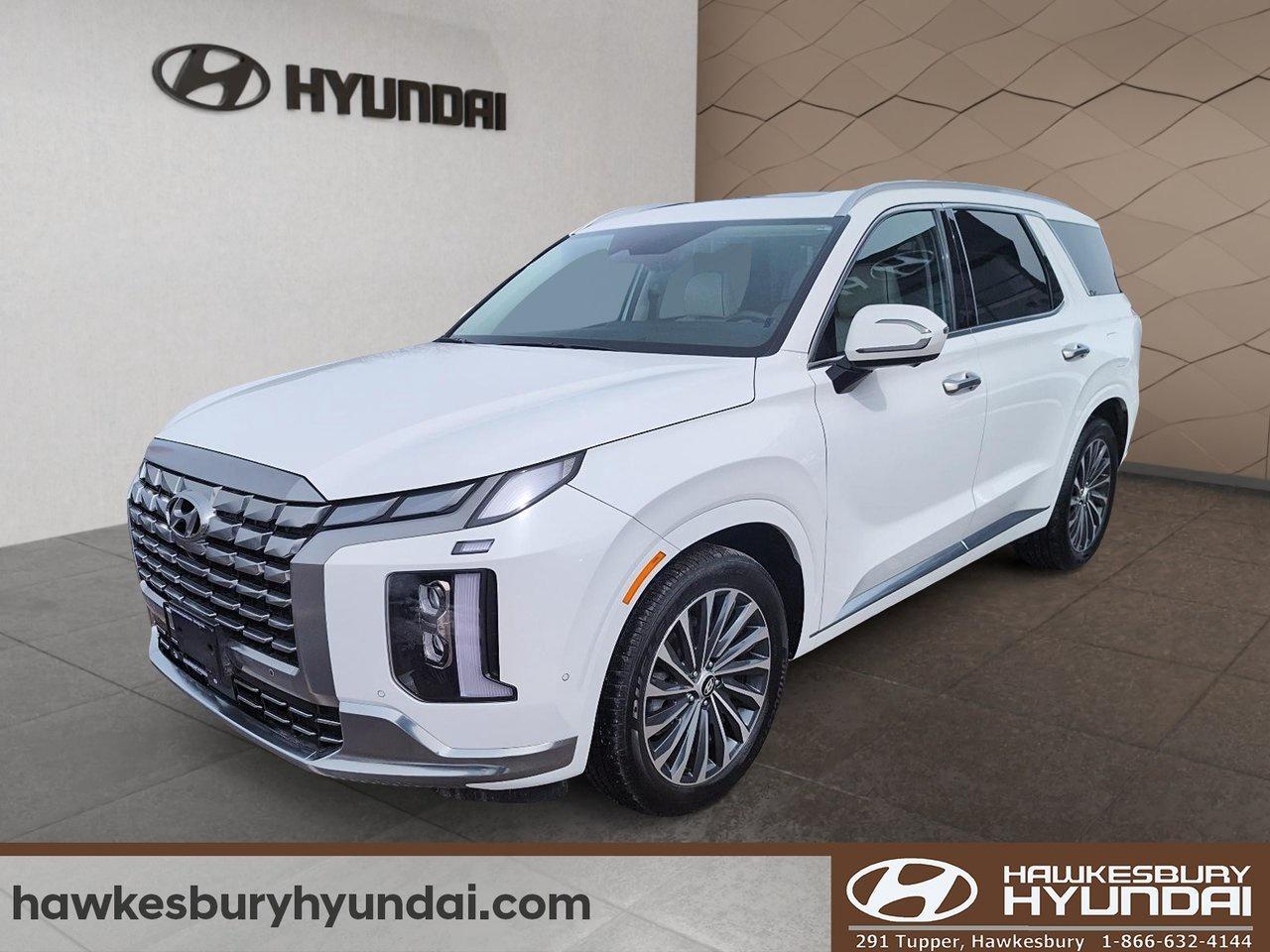 2025 Hyundai PALISADE Ultimate Calligraphy Photo0