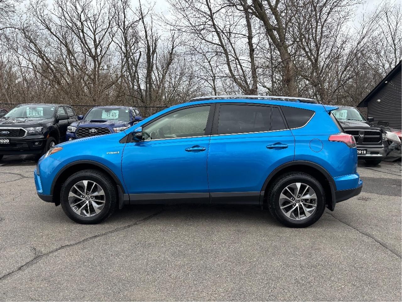 2017 Toyota RAV4 Hybrid XLE AWD POWER SEAT ROOF CLEAN CARFAX Photo