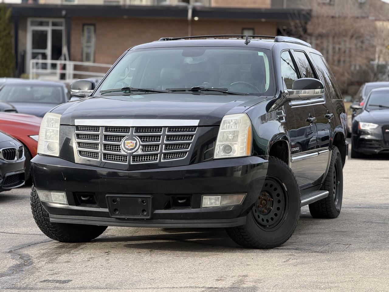 2010 Cadillac Escalade  Photo