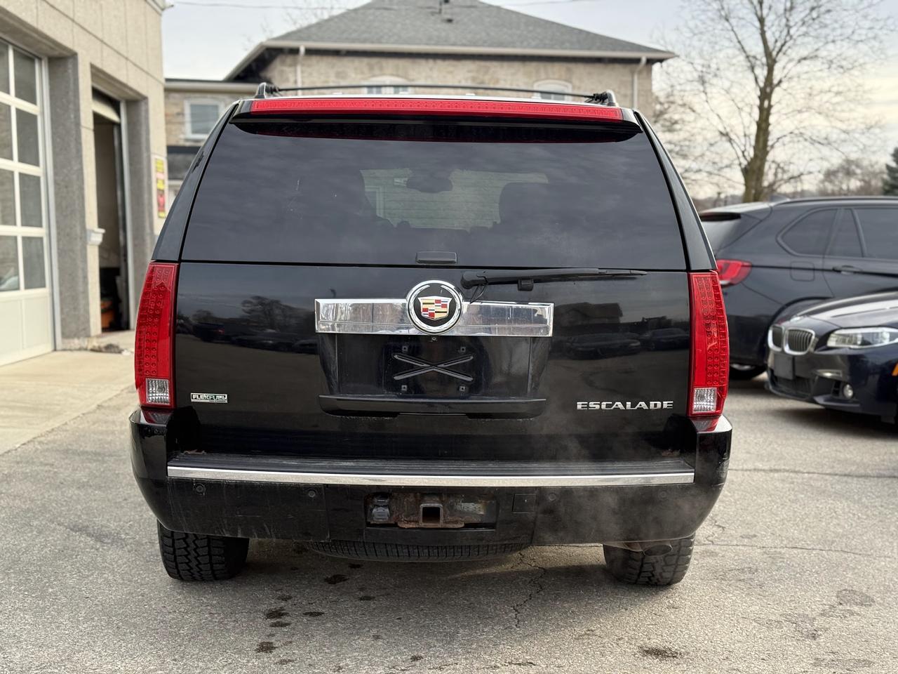 2010 Cadillac Escalade  Photo