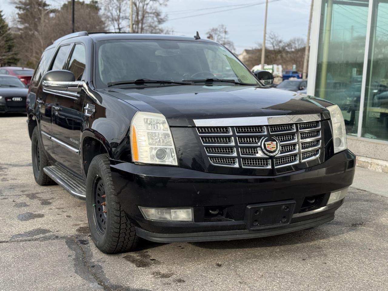 2010 Cadillac Escalade  Photo