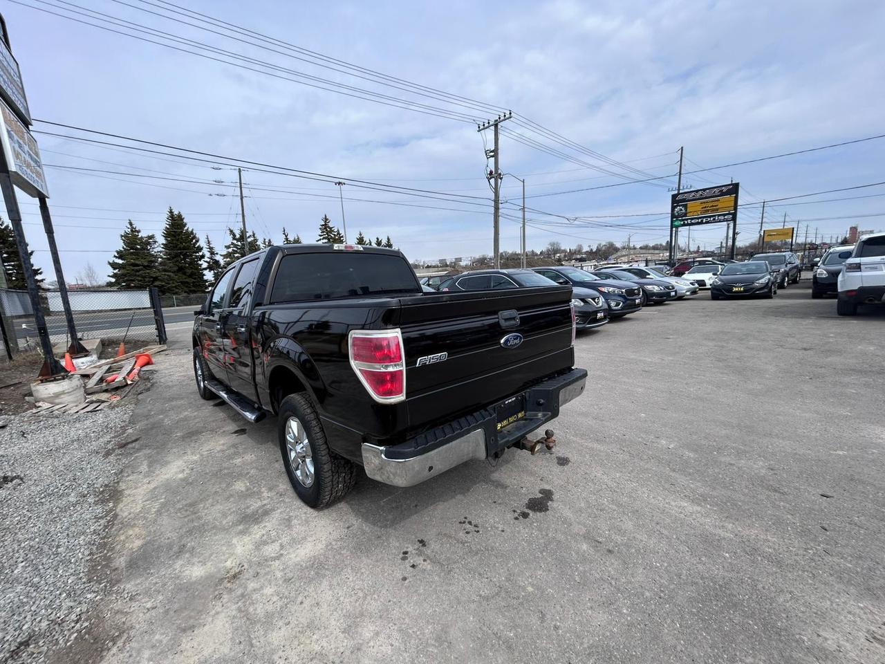 2013 Ford F-150 XLT Photo