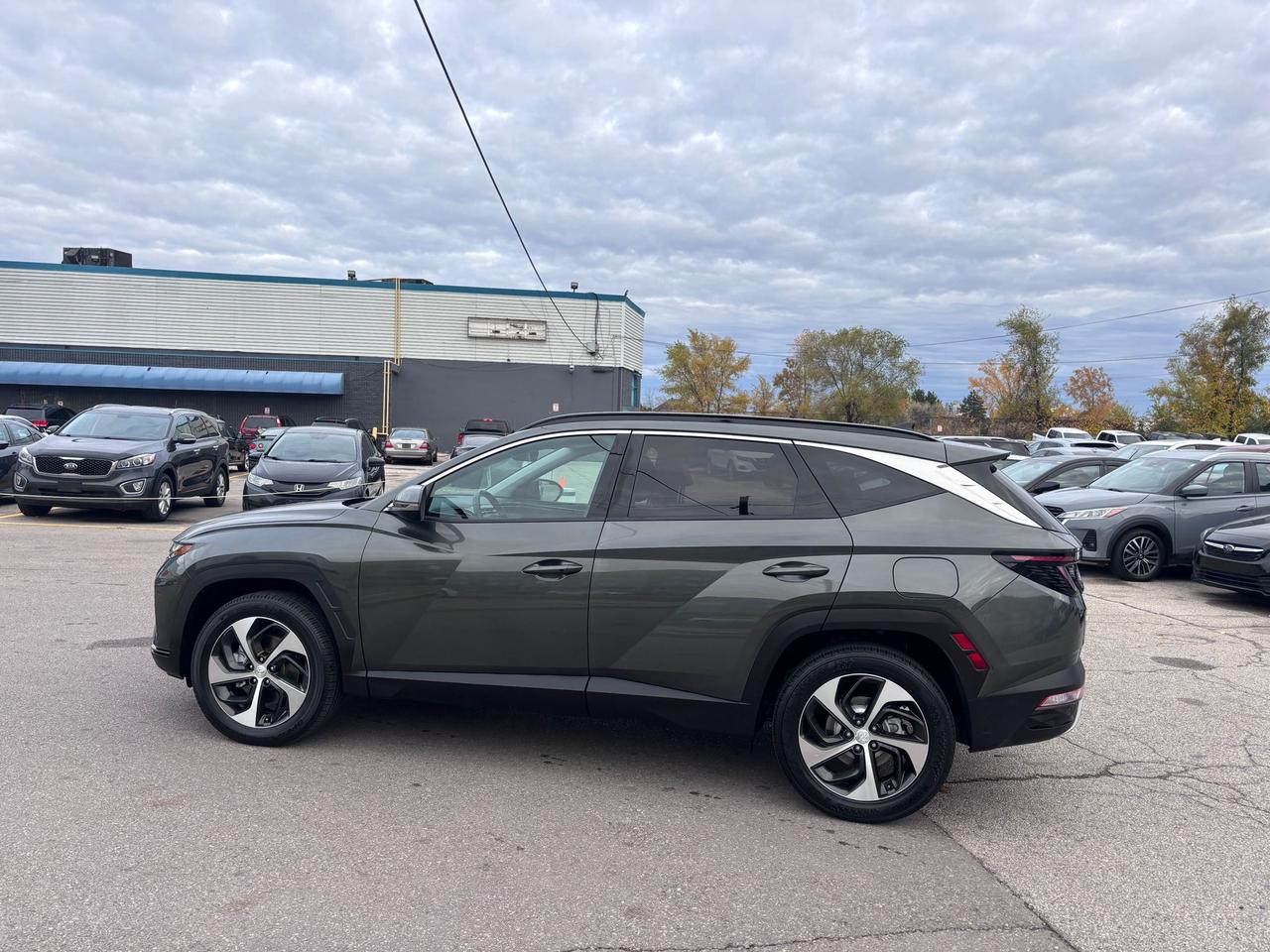 2022 Hyundai Tucson Hybrid Luxury Photo