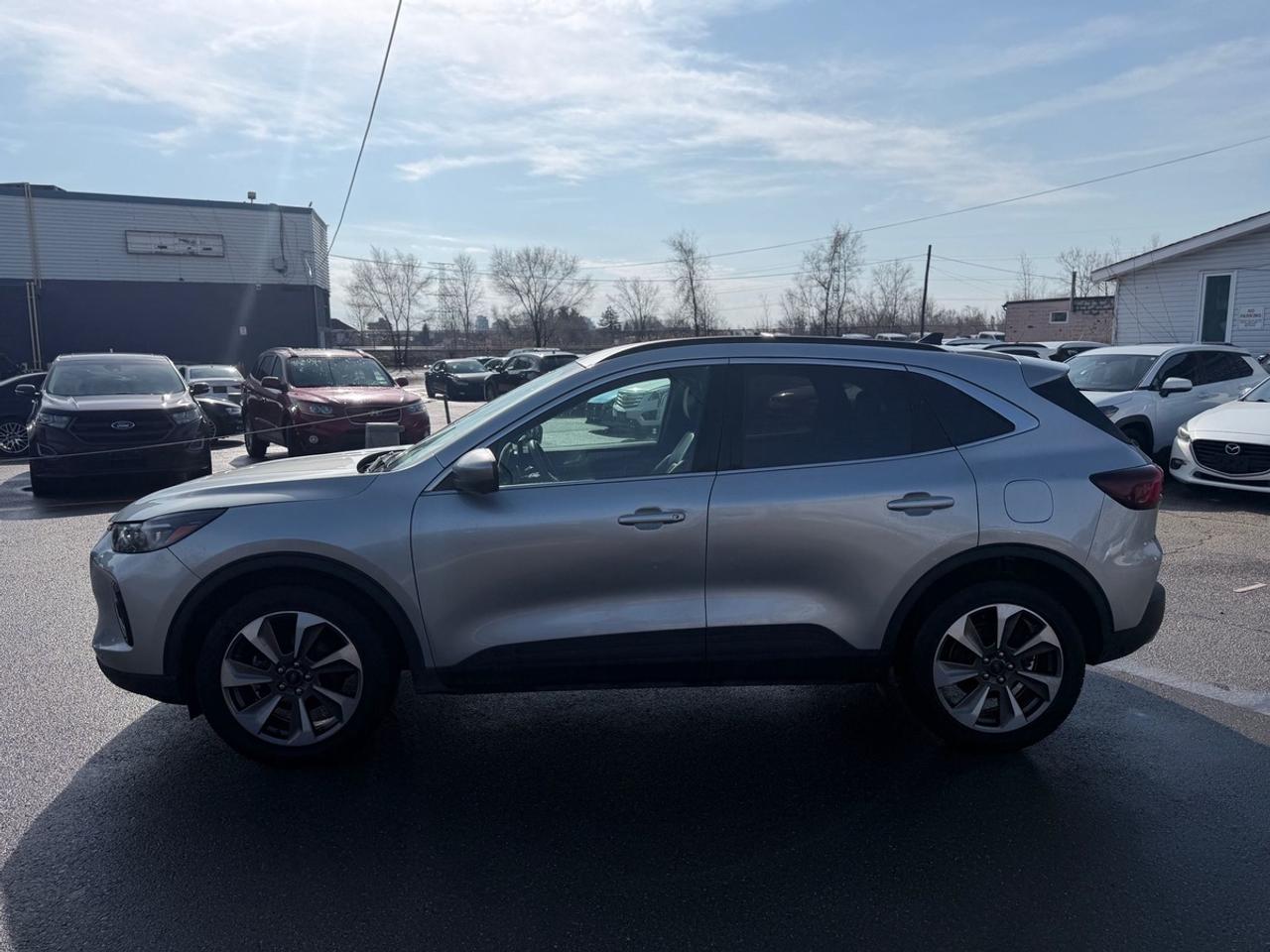 2023 Ford Escape Platinum Photo