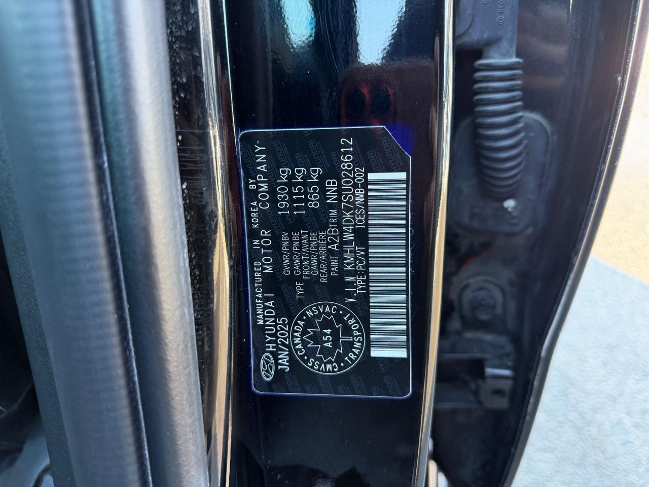 2025 Hyundai Elantra N  Photo