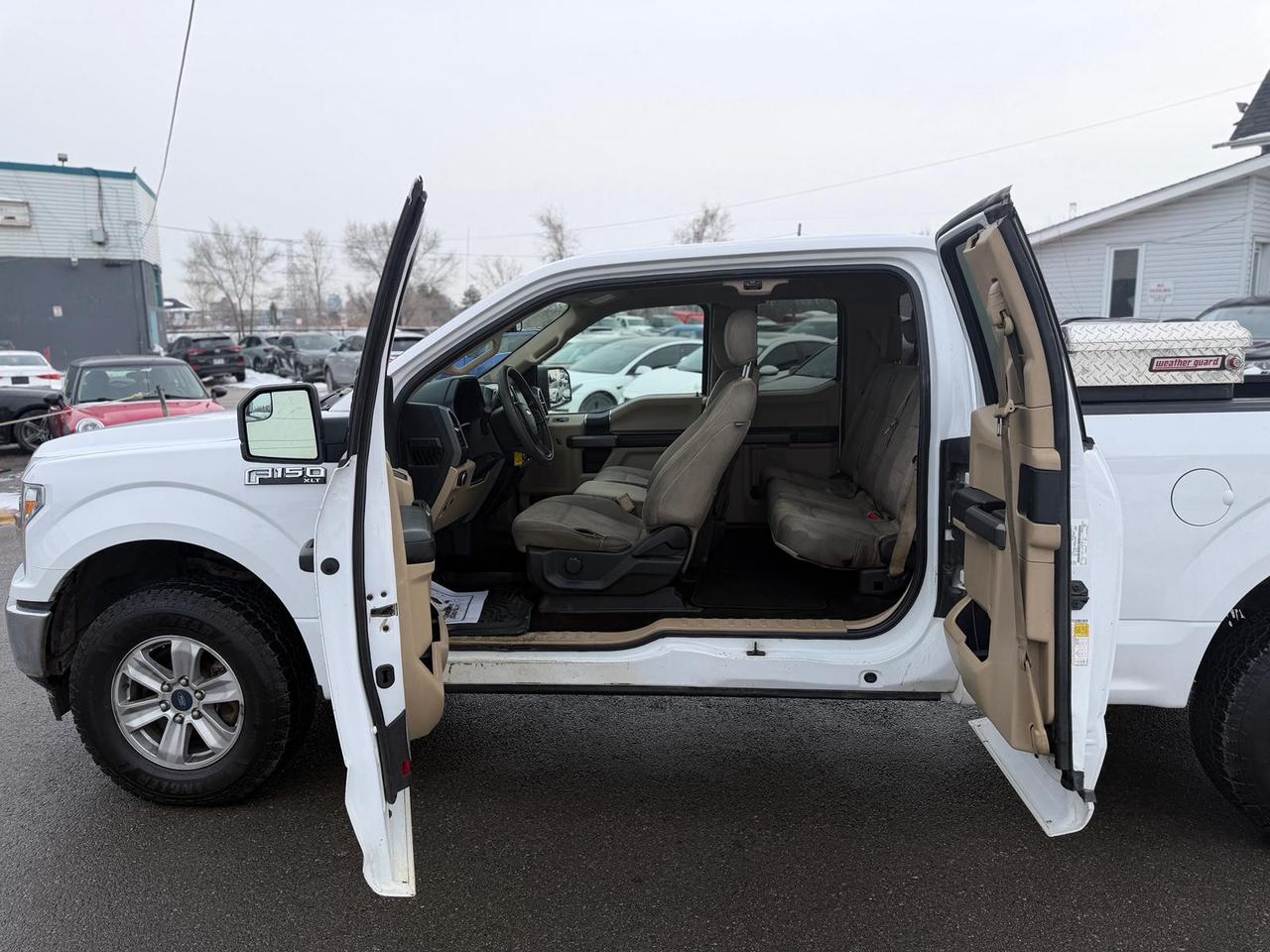 2019 Ford F-150 XLT Photo