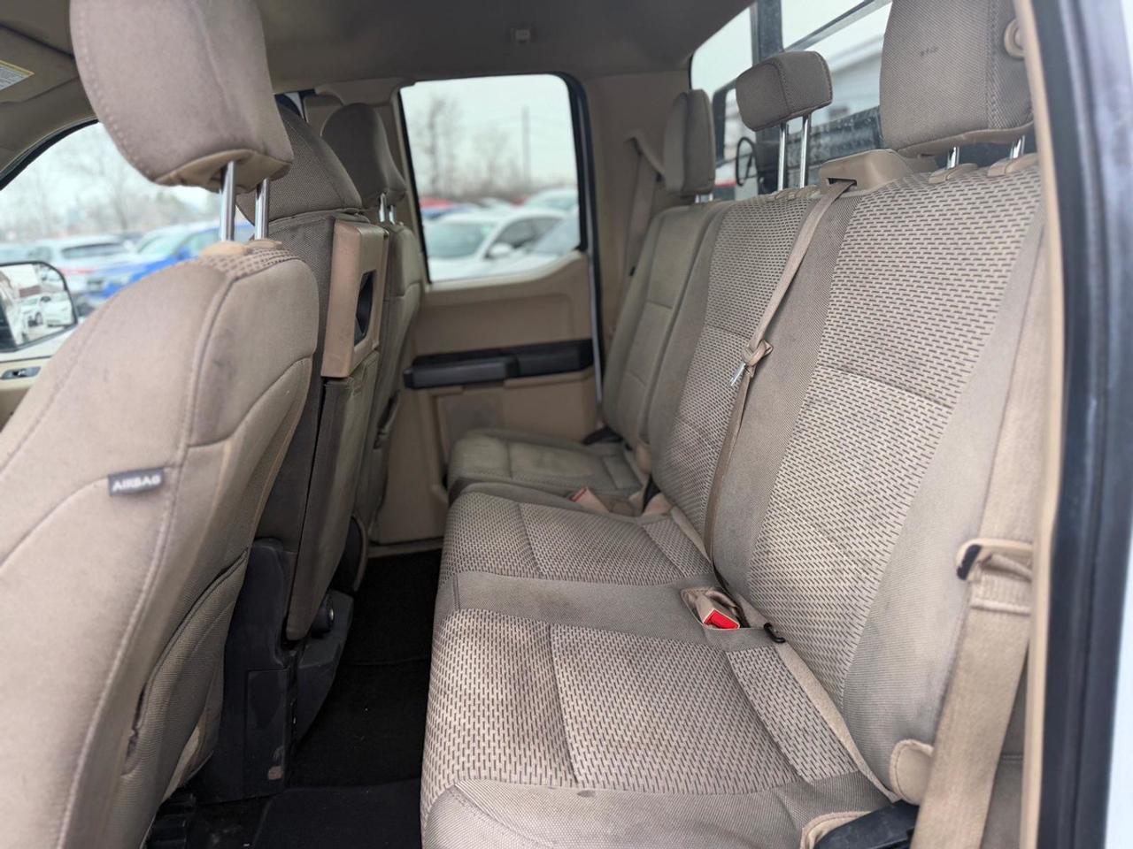 2019 Ford F-150 XLT Photo