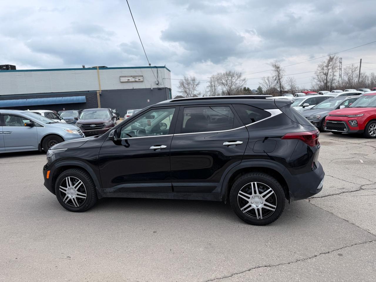 2023 Kia Seltos SX Photo